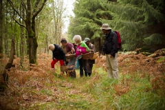 champignons©ville_de_bagnoles-11