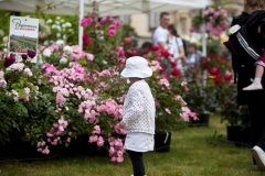 Fete-des-plantes-2014-4©Rubio